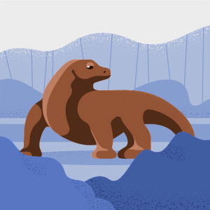 Noor Fitriani profile icon