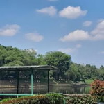 Fitri Dzurrotu Zahiin profile icon