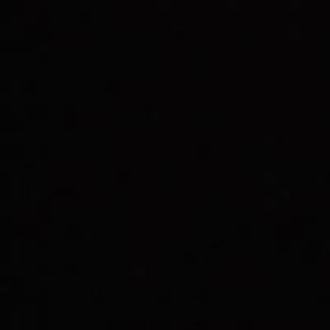 เเพท เเพท profile icon