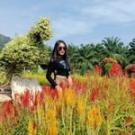 ลลิตา'าๅ profile icon