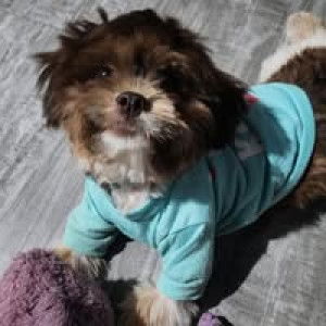 Karla Cee profile icon