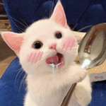 Nene profile icon