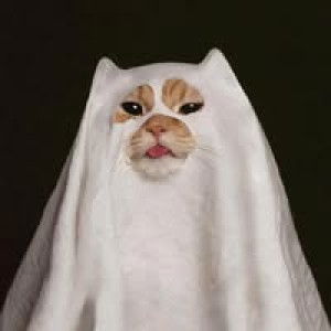 สายธาร ร. profile icon