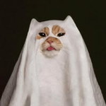 สายธาร ร. profile icon