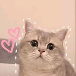 Nurul Ain profile icon