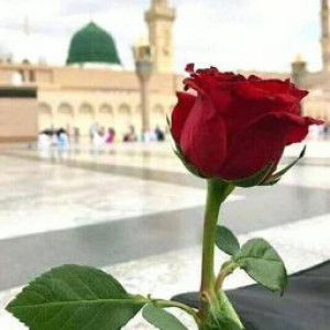 Linda Humeyra profile icon