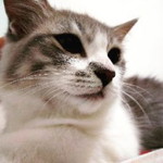 AyUmmie Imoets profile icon