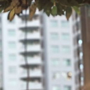 Nikita P profile icon