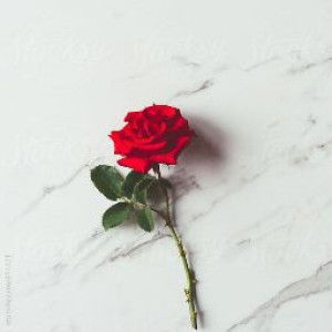 nurul aina profile icon