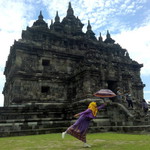 Nasifa Sifa profile icon