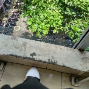 aisyah nofitasari profile icon