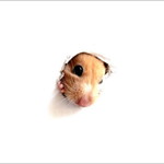 so good น้ำ profile icon