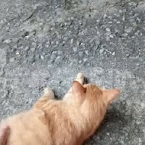 พรนรินทร์ พรนรินทร์ profile icon