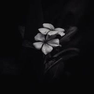 Restu Andaresta profile icon