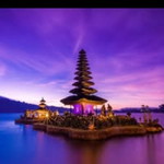 Octa Yu profile icon