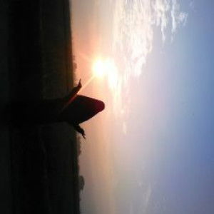 wida mandasarii profile icon