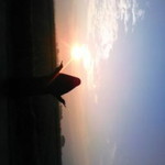 wida mandasarii profile icon