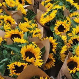 Siti Sa'adah Dwi Diana profile icon