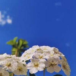 Lilis Fatimah profile icon