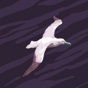 Jessa Cawas profile icon