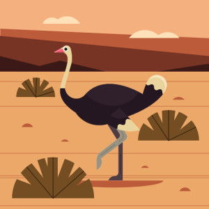 Edi Pratama profile icon