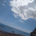 Shazfa Alesha profile icon