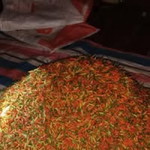 Zhulfikar Dan Zoelkifli profile icon