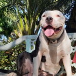 Lo Renz profile icon