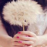 De Dandelions (Dwi N) profile icon