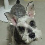 J Poh profile icon