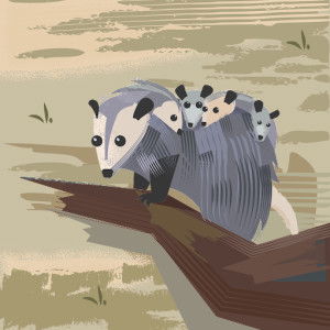 uswatun hasanah profile icon