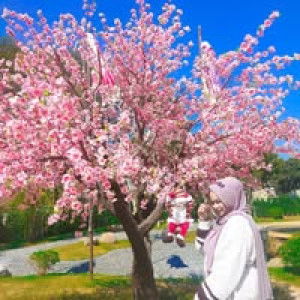 ฮันนี่ โทสต์ profile icon