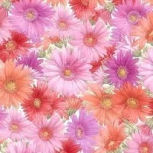 JAMILAH AARA AISYAH profile icon