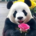 Cel Moh Bio Vega profile icon