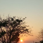 Dewi Novita profile icon