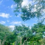 Gita Kinardi profile icon