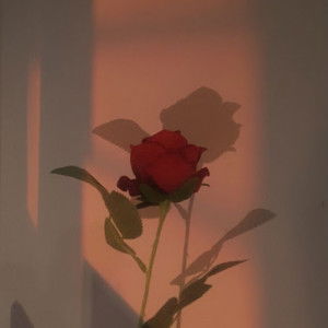 Nukilan Hati profile icon