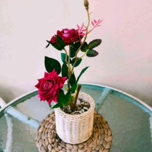 Nurum Mardiyah profile icon