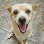 im Kornvipa profile icon