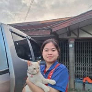 ดาราวลี บุญดี profile icon