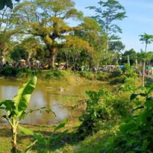 Uchi Ha profile icon