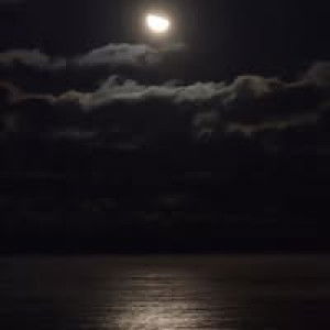 Fei Fei profile icon