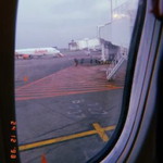 Pathricia profile icon