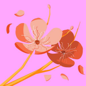 Nikesha Vavien profile icon