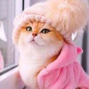 Fatimah Ibrahim profile icon