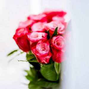 Sa'adatul Maerdhiyyah profile icon