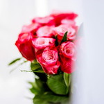 Sa'adatul Maerdhiyyah profile icon