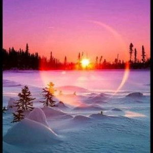 Intan Intan profile icon