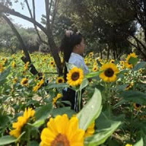 จอย 'จัง profile icon