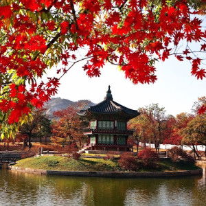 Nur Azizah profile icon